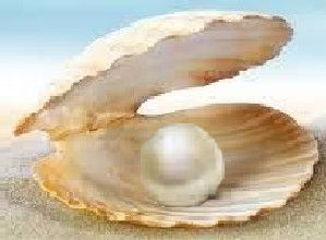 printerest.com Parel